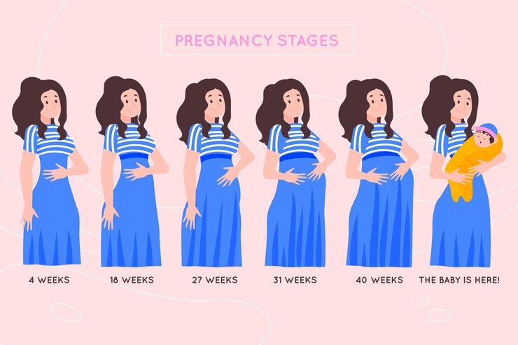 pregnancy stages chart with woman in blue dress depicting postpartum fitness