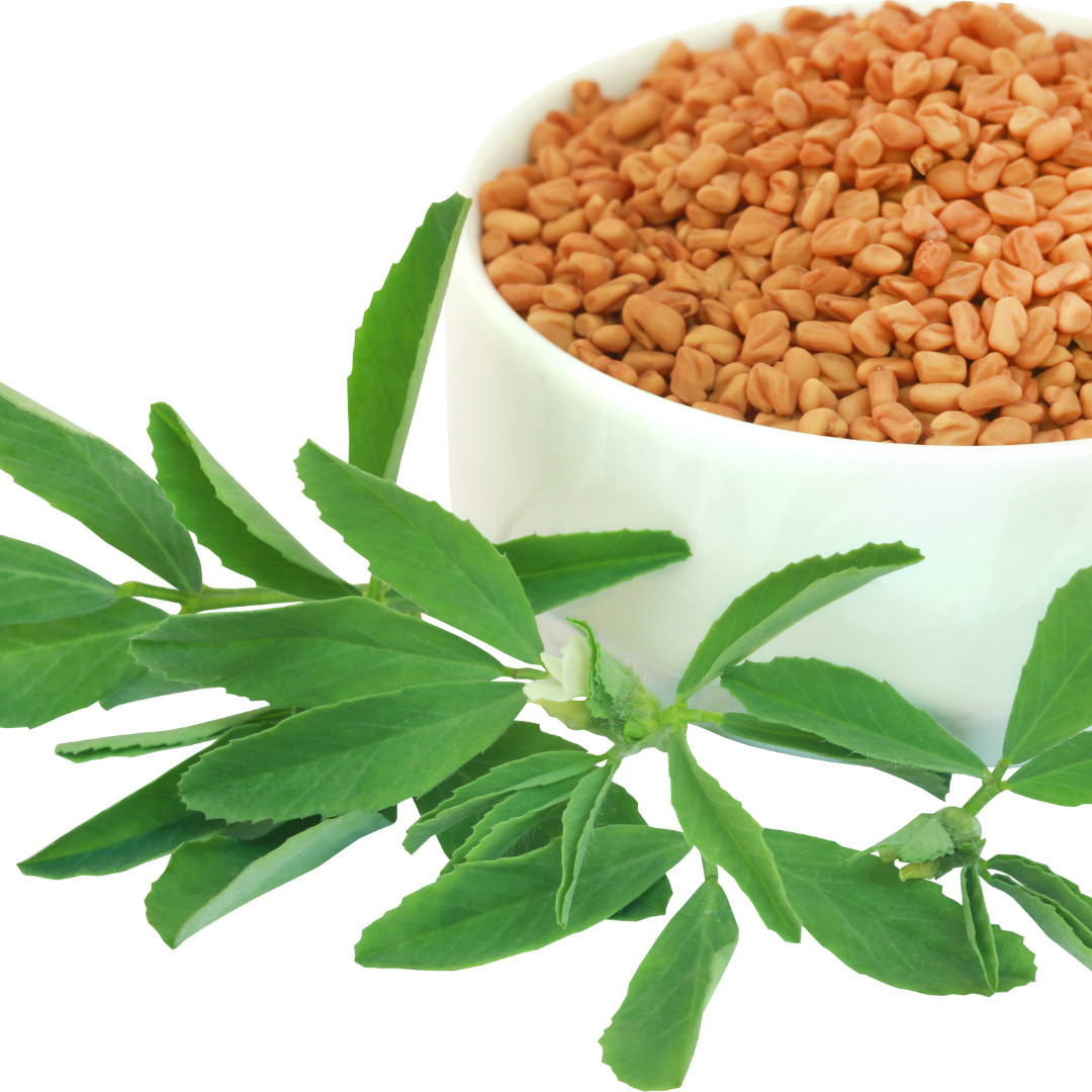 Bowl of light brown grains with vibrant green leaves beside an air fryer